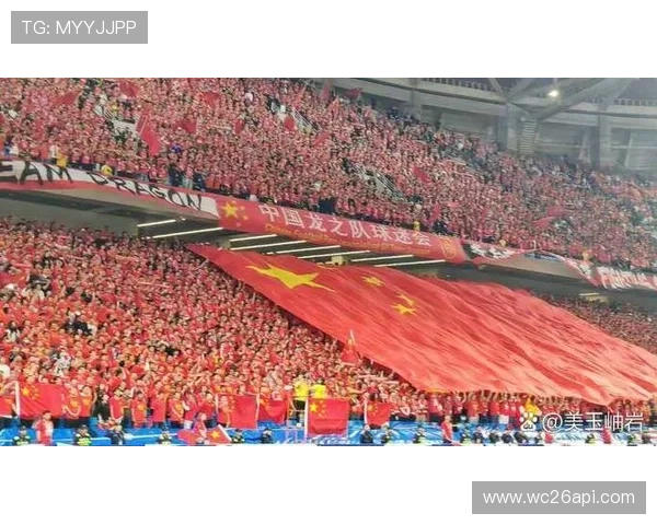 世界杯预选赛中国赛场最新赛况全面解析助力球迷掌握第一手比赛信息